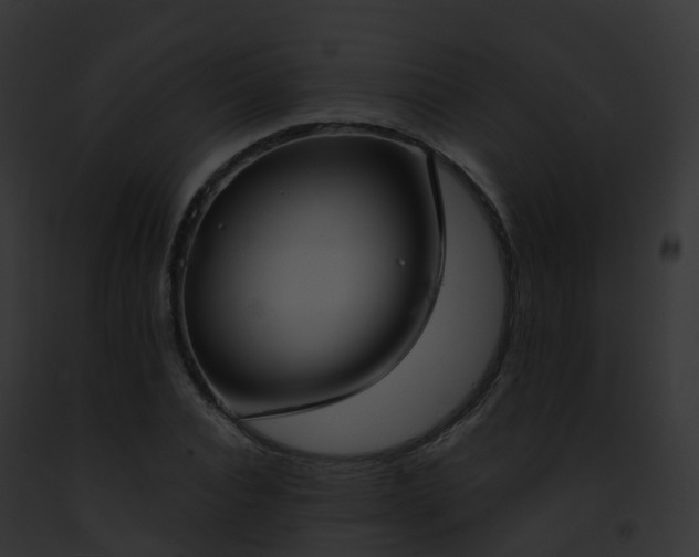 X0000093090928200710031435