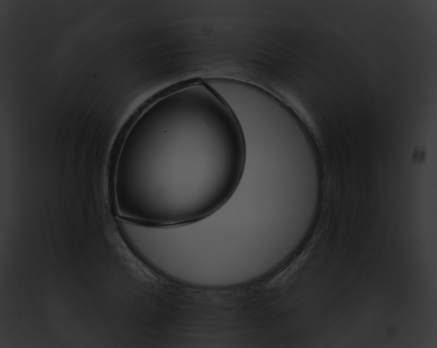 X0000093090932200710031435