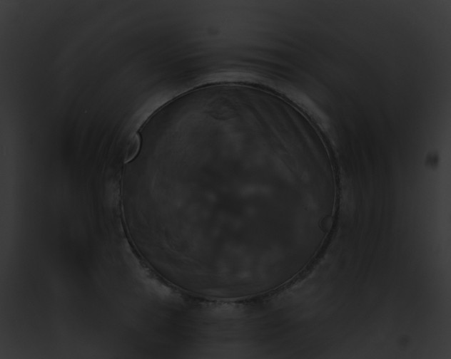 X0000093090945200710031435