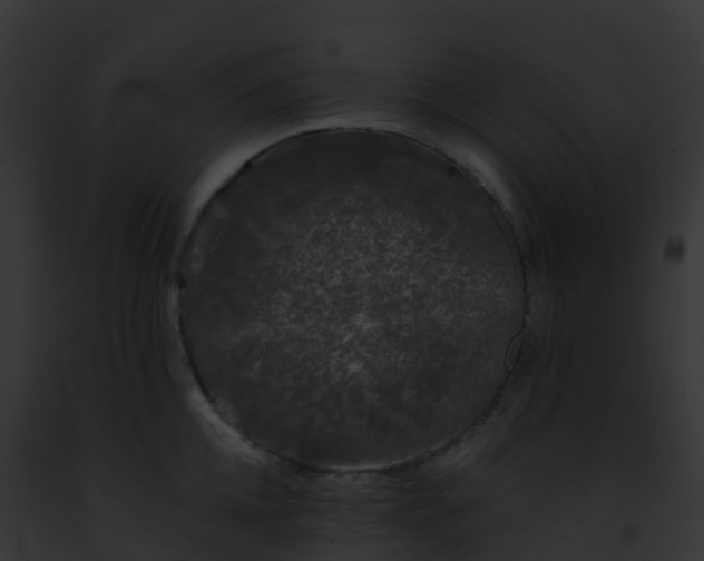 X0000093090952200710031435