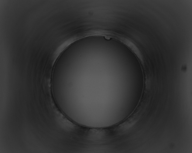 X0000093090954200710031435