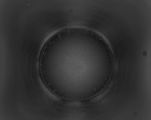 X0000093090957200710031435