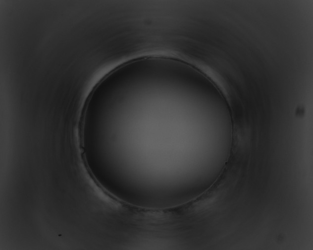 X0000093090959200710031435