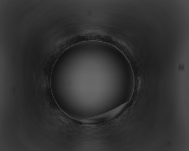 X0000093090965200710031435
