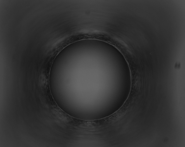 X0000093090966200710031435