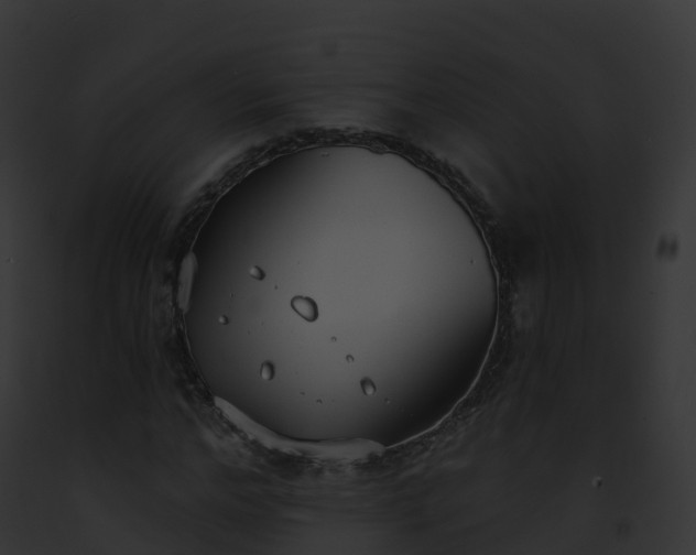 X0000093090968200710031435