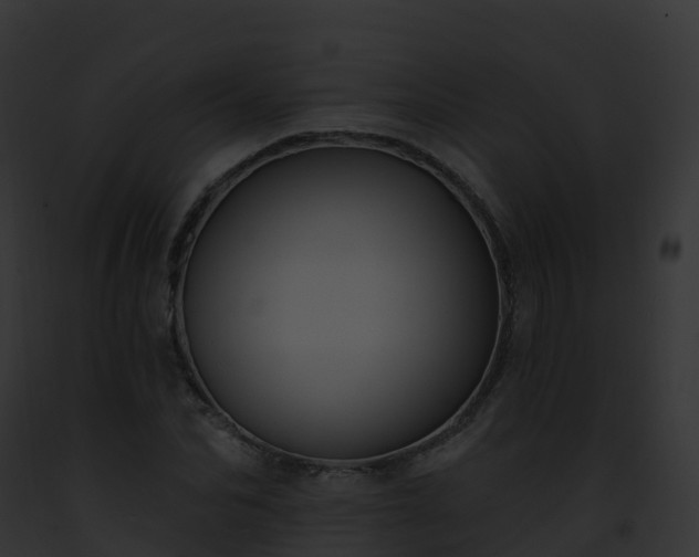X0000093090974200710031435