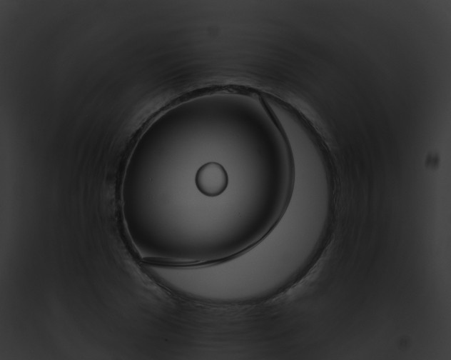 X0000093090977200710031435
