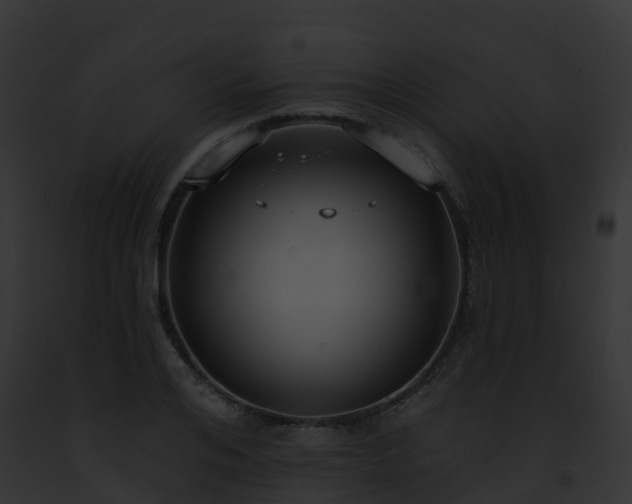 X0000093090984200710031435