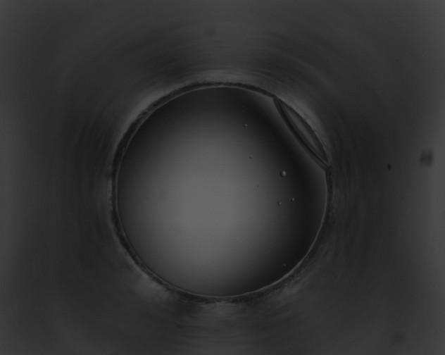 X0000093090992200710031434