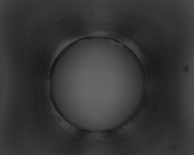 X0000093091000200710031434