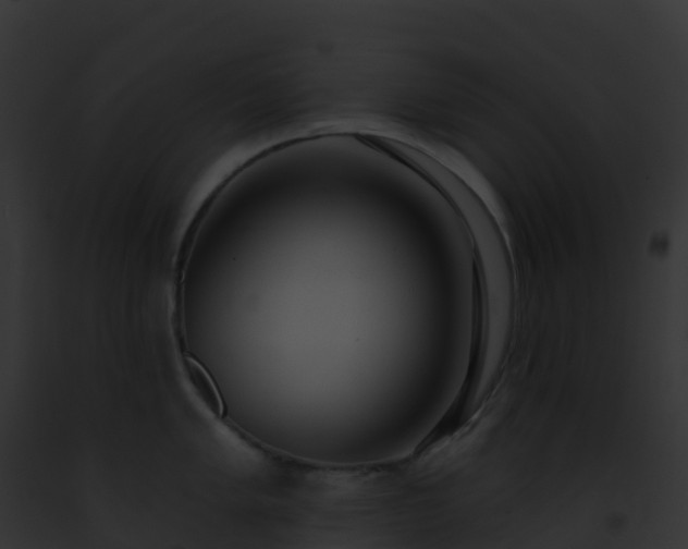 X0000093091005200710031434