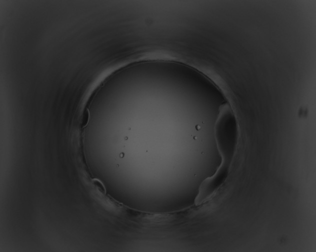 X0000093091008200710031434