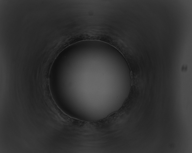 X0000093091009200710031434