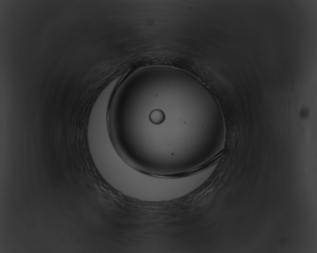 X0000093091010200710031434