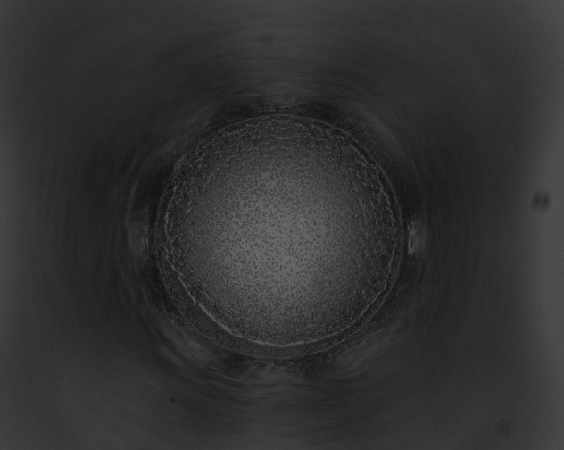 X0000093091011200710031434