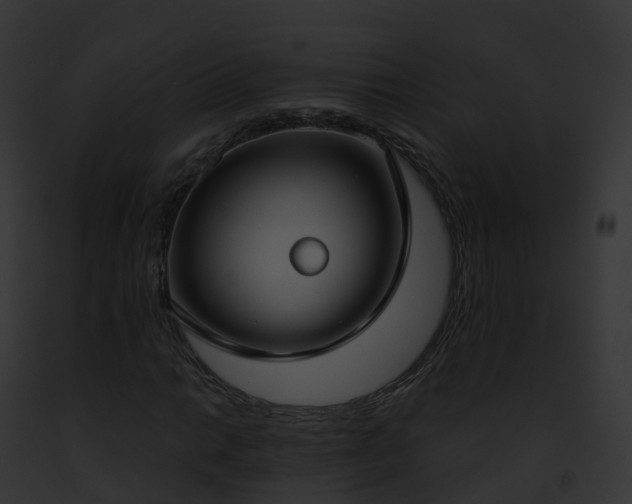 X0000093091014200710031434