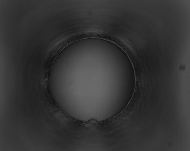 X0000093091015200710031434