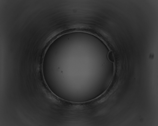 X0000093091017200710031434