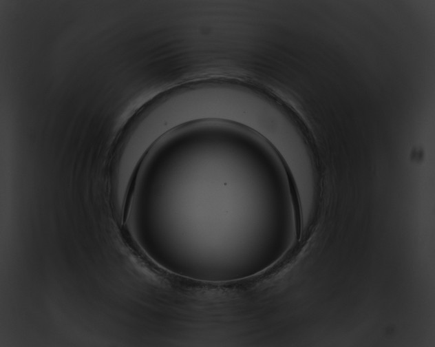 X0000093091018200710031434