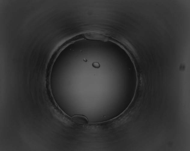 X0000093091020200710031434