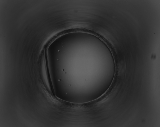 X0000093091021200710031434