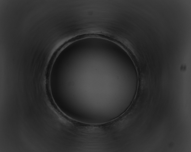 X0000093091024200710031434