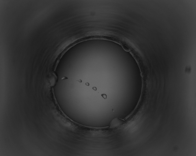 X0000093091025200710031434