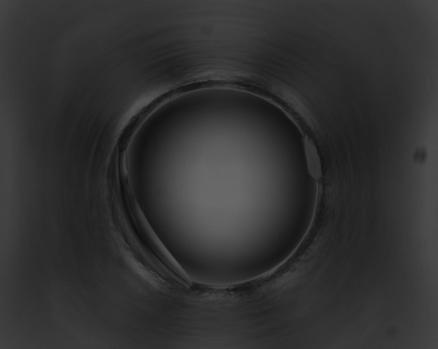 X0000093091026200710031434