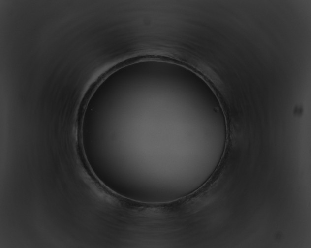 X0000093091028200710031434