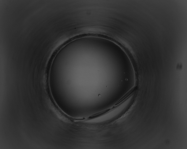 X0000093091029200710031434