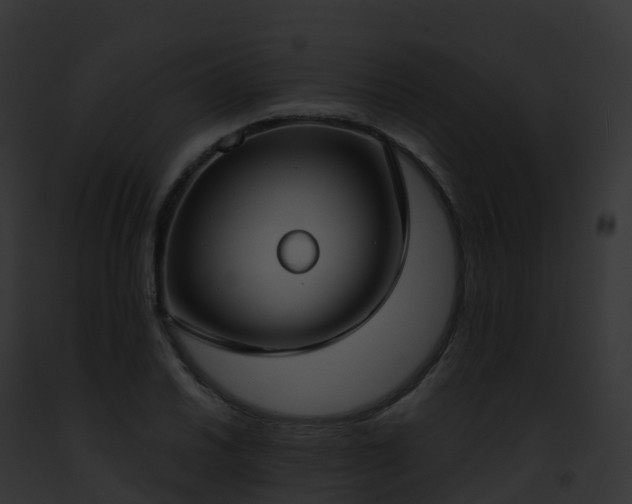 X0000093091030200710031434