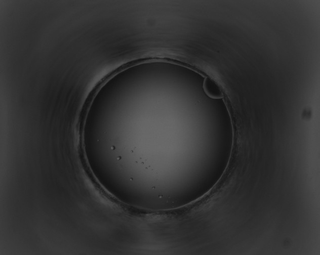 X0000093091032200710031434