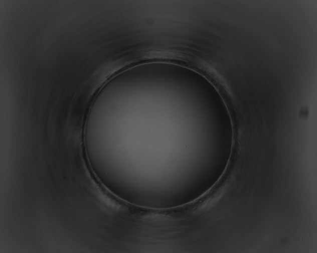 X0000093091033200710031434