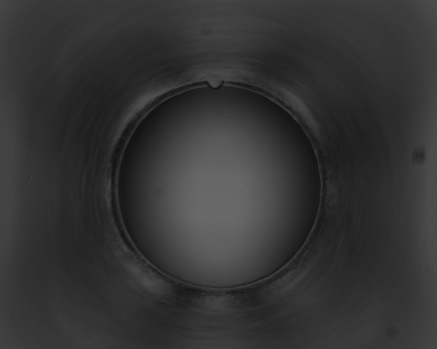 X0000093091035200710031434