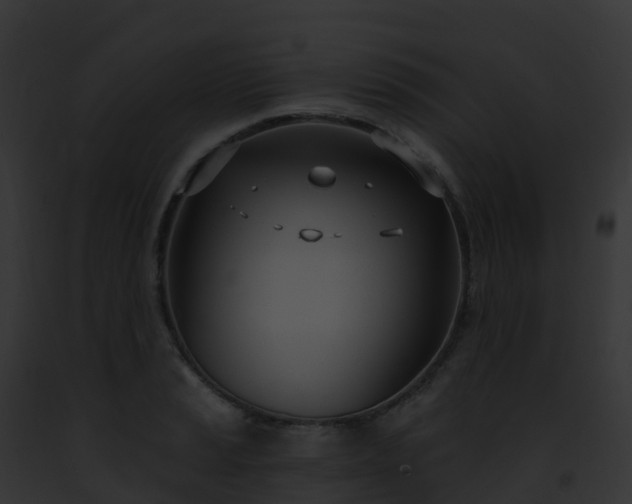 X0000093091037200710031434