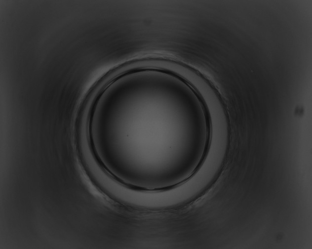 X0000093091038200710031434