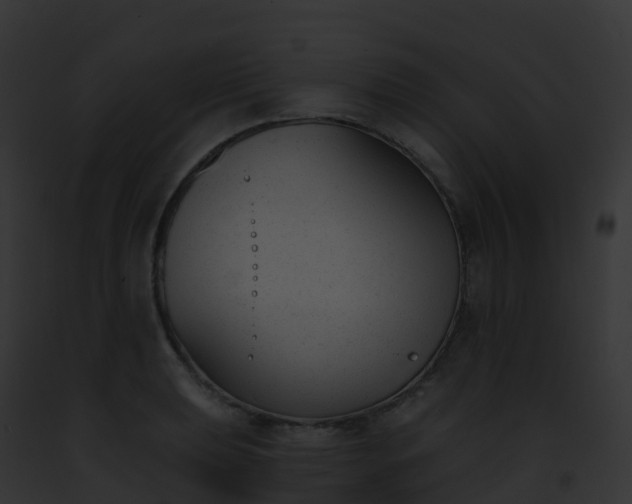 X0000093091039200710031434