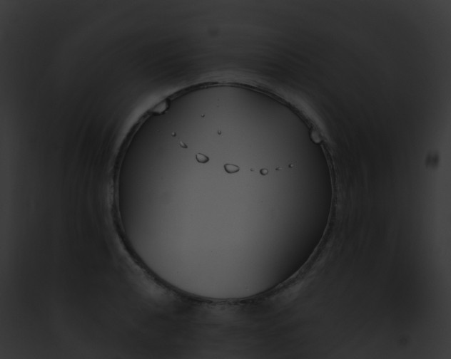 X0000093091040200710031434