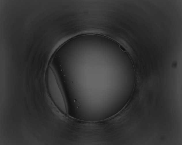 X0000093091044200710031434
