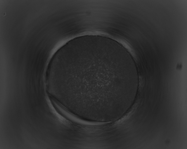 X0000093091046200710031434
