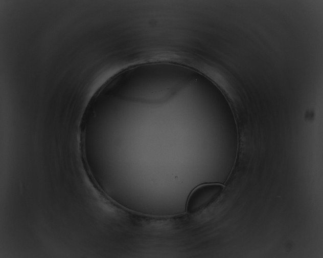 X0000093091047200710031434