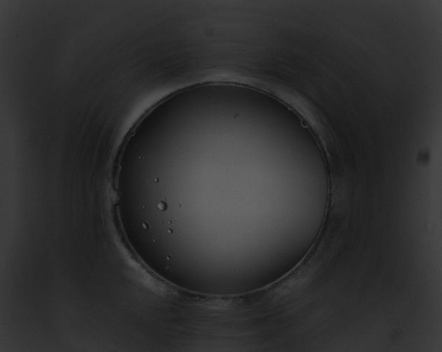 X0000093091048200710031434