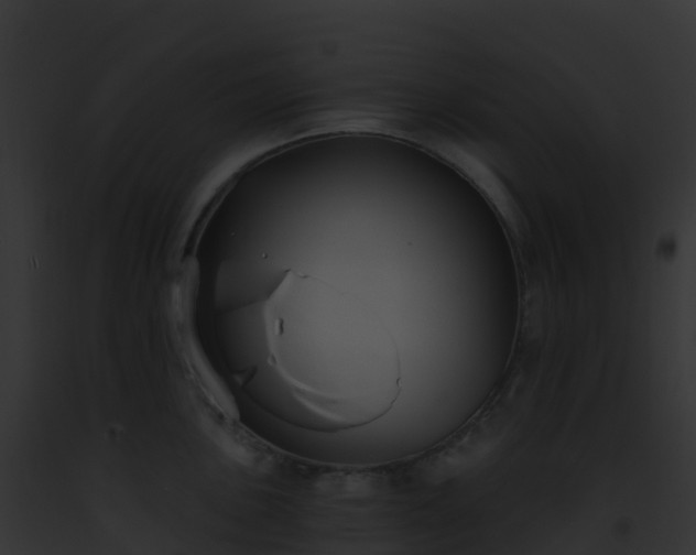 X0000093091051200710031434