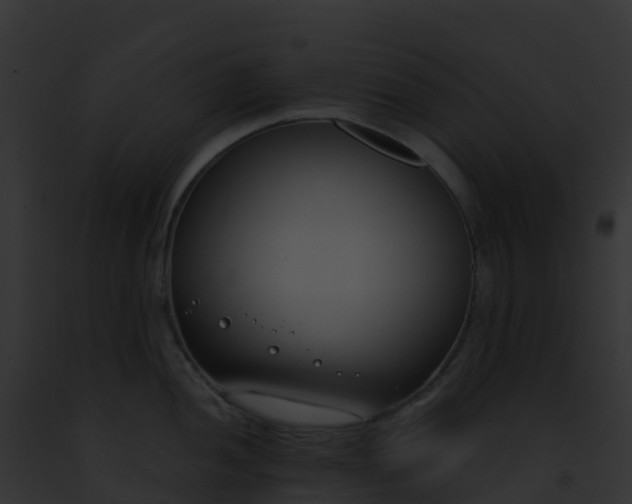 X0000093091052200710031434