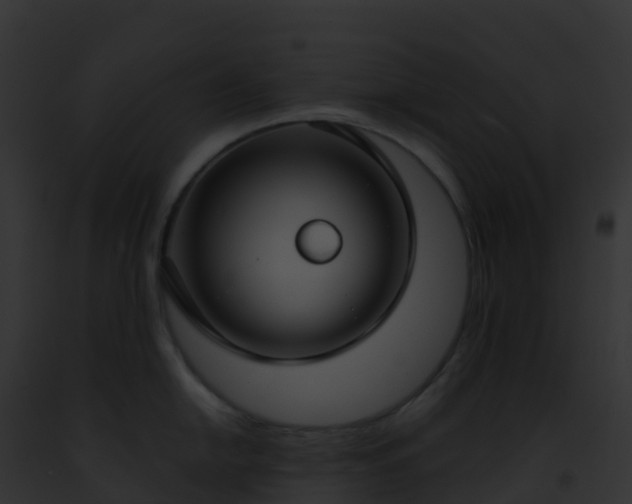 X0000093091054200710031434