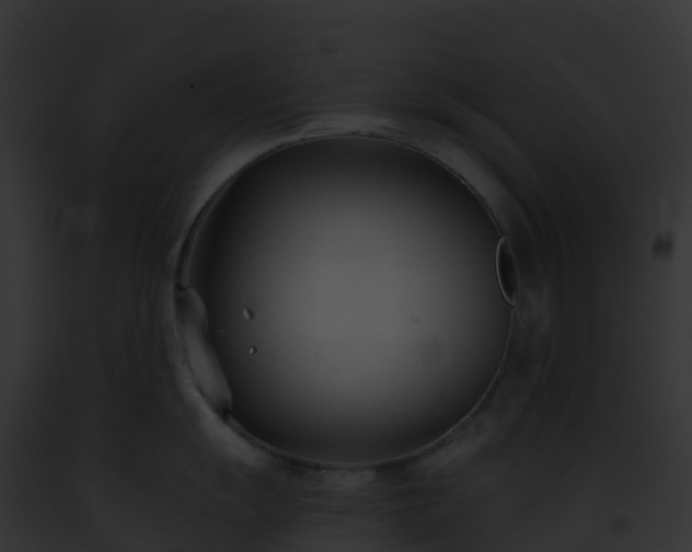 X0000093091055200710031434