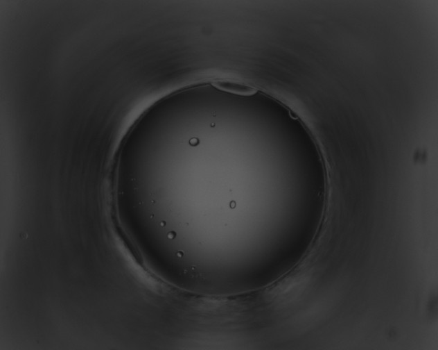 X0000093091056200710031434