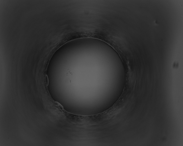 X0000093091057200710031434