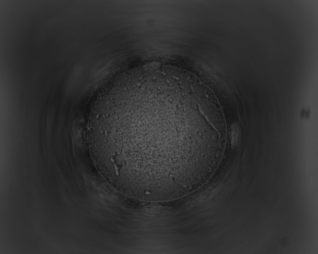 X0000093091059200710031434